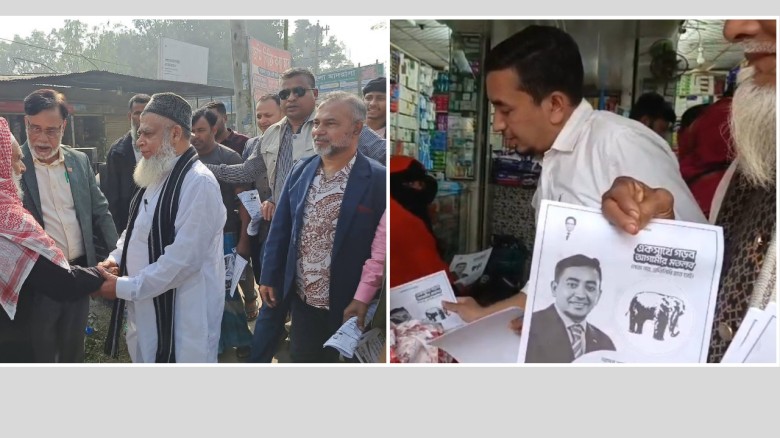 শুরু হয়েছে শীতের মৌসুম, শীতের ফুলে রঙিন প্রকৃতি