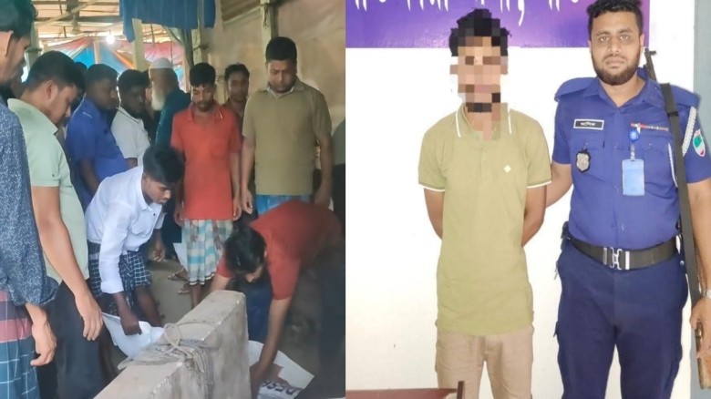 শুরু হয়েছে শীতের মৌসুম, শীতের ফুলে রঙিন প্রকৃতি